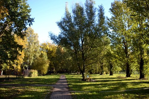 Тропа в осенний парк