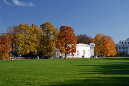 Осень первоначальная