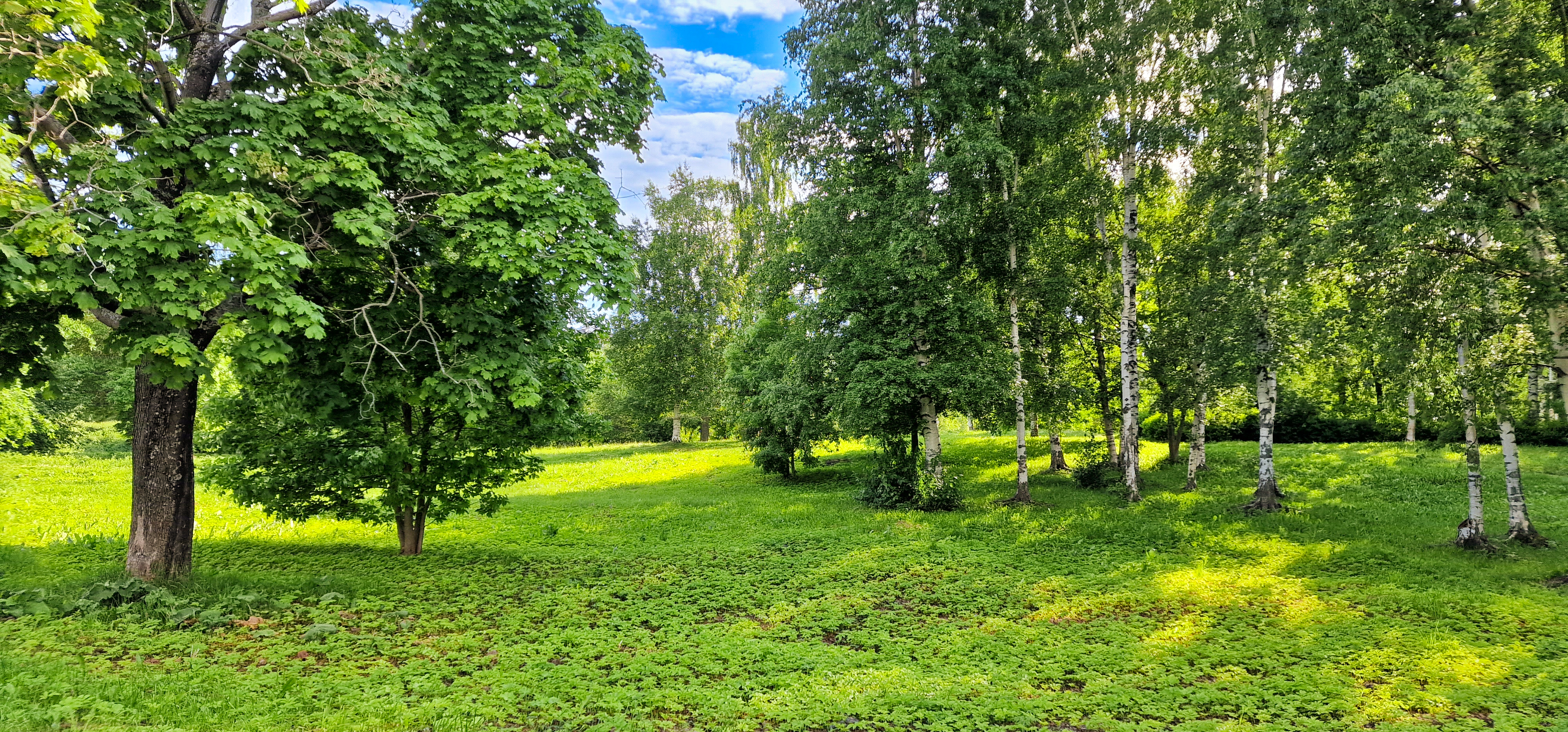 клуб времена года