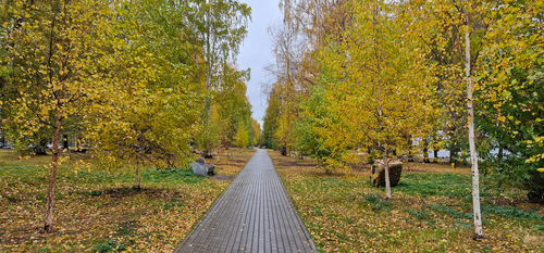 В осеннем парке