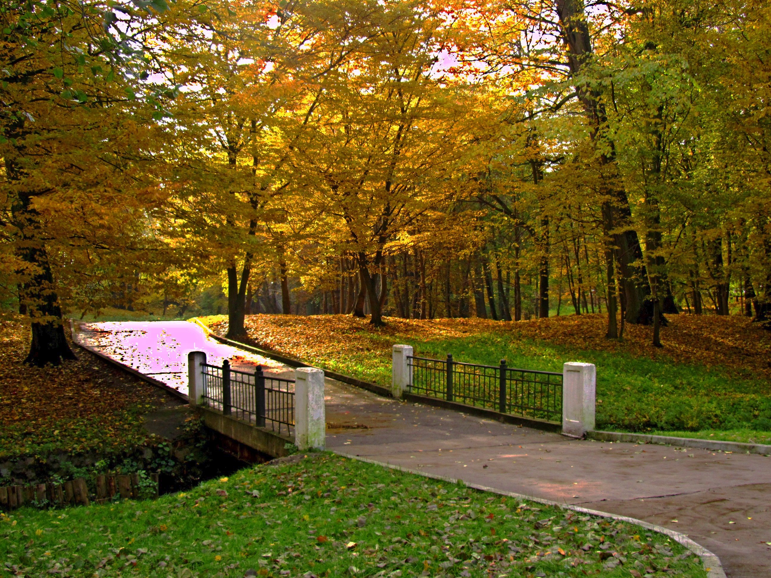 Парки калининграда. ЦПКИО Калининград. Парк Калинина Калининград. Центральный парк Калининграда. Парк Калинина Калининград осень.