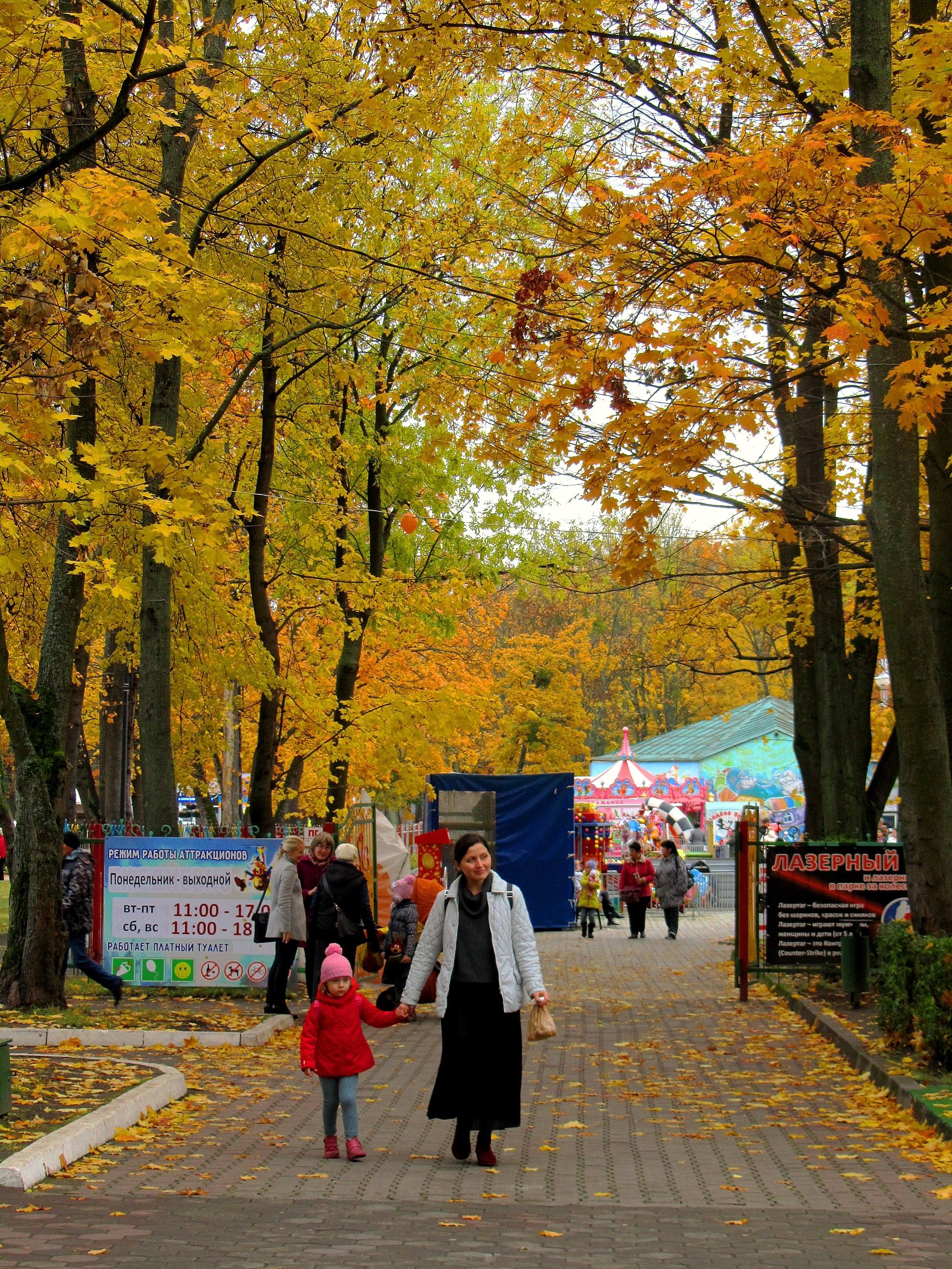 калининград центральный парк