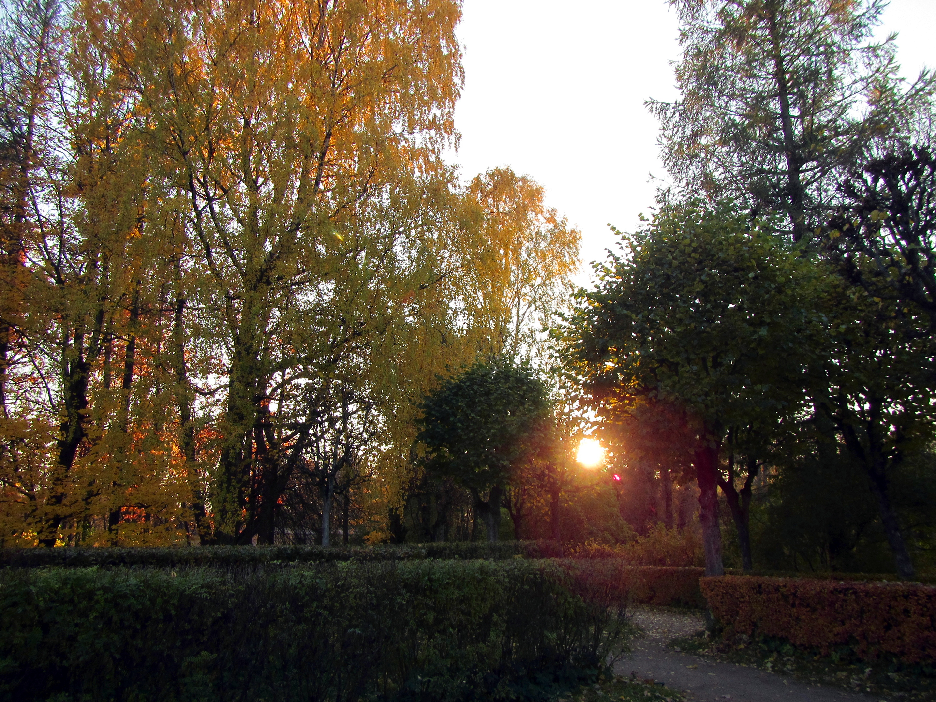 Павловский парк на закате