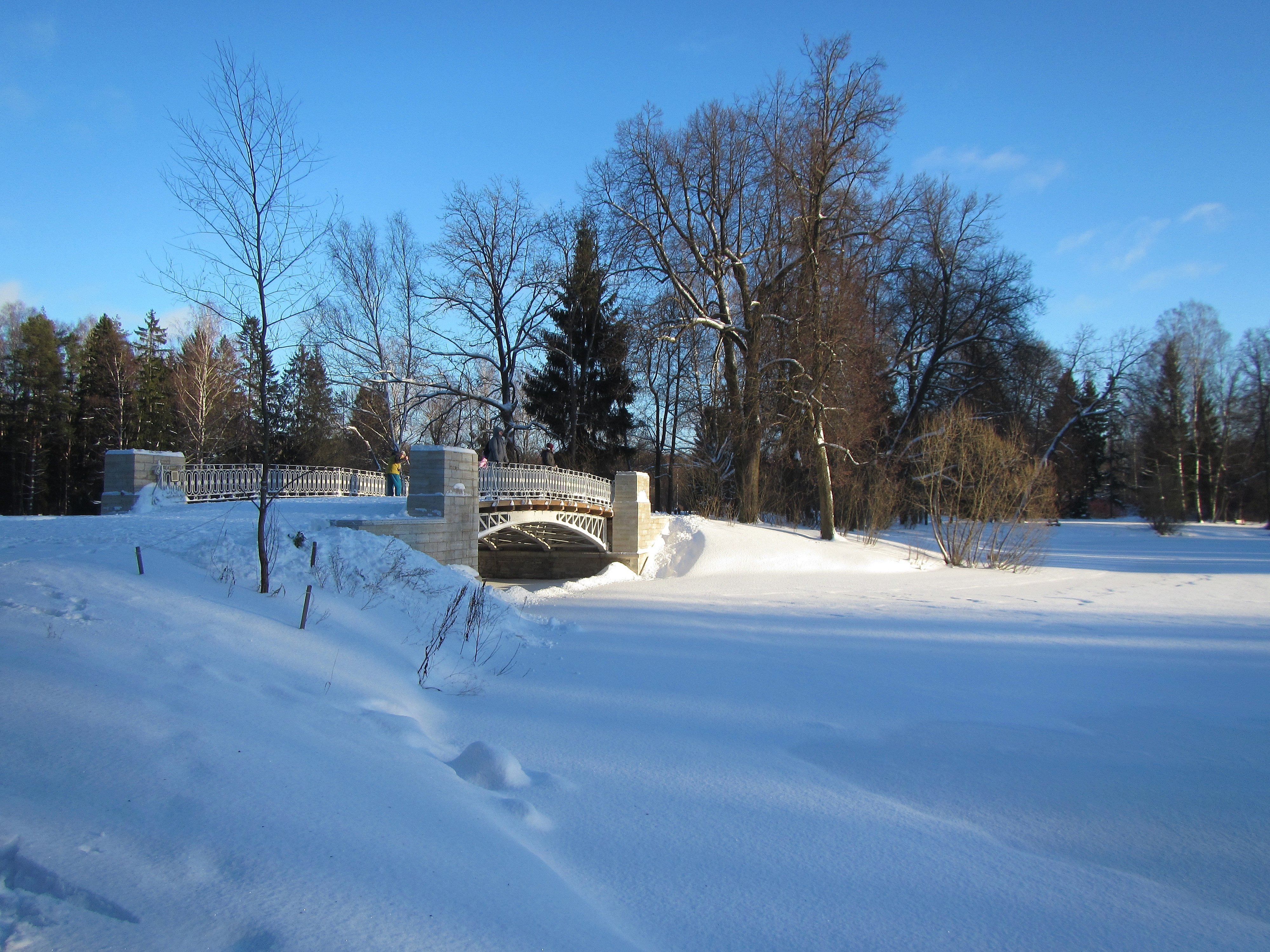Парк павловск зимой