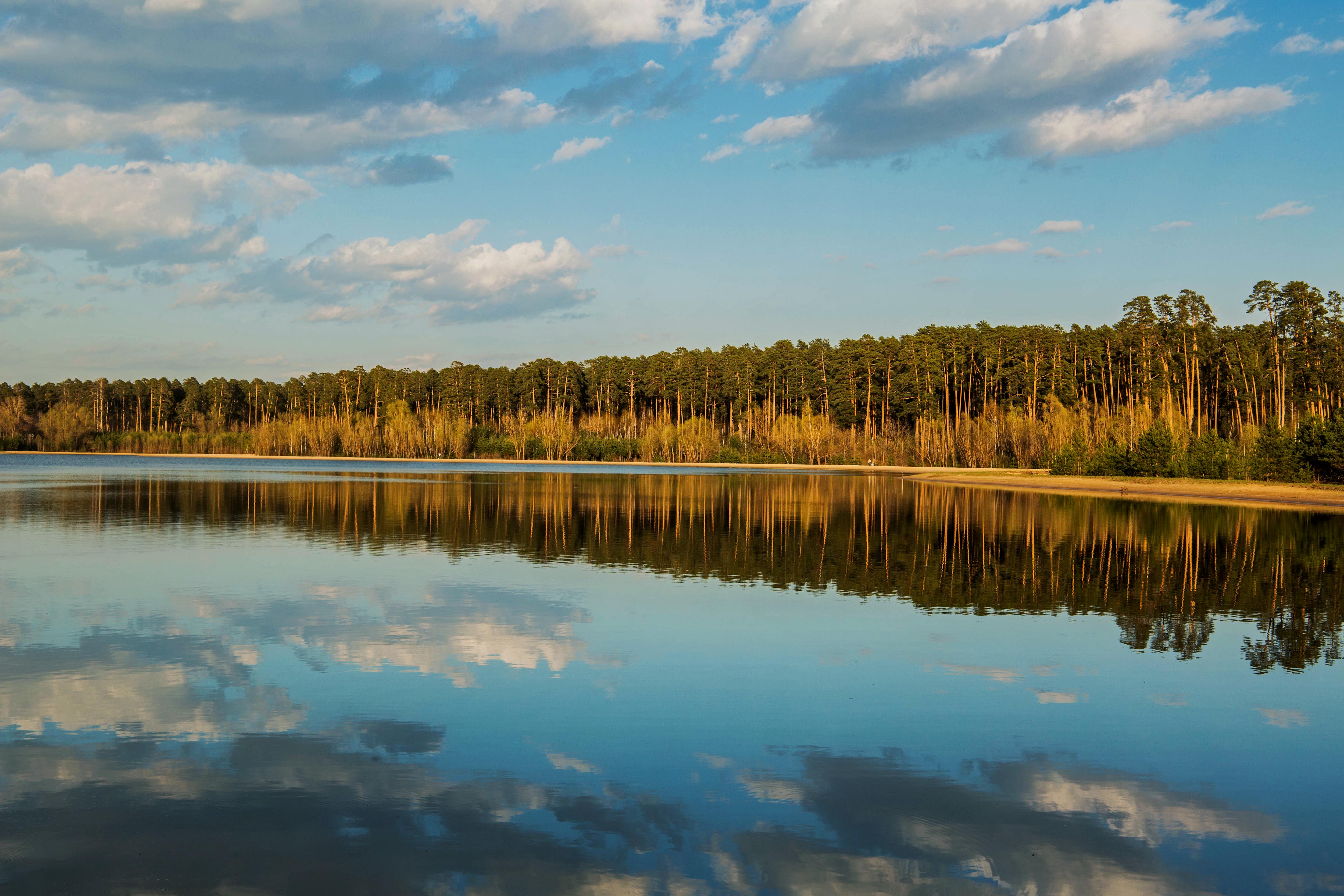 Озеро казани фото. Лебяжье озеро Казань. Озеро каракуль Татарстан Балтаси.