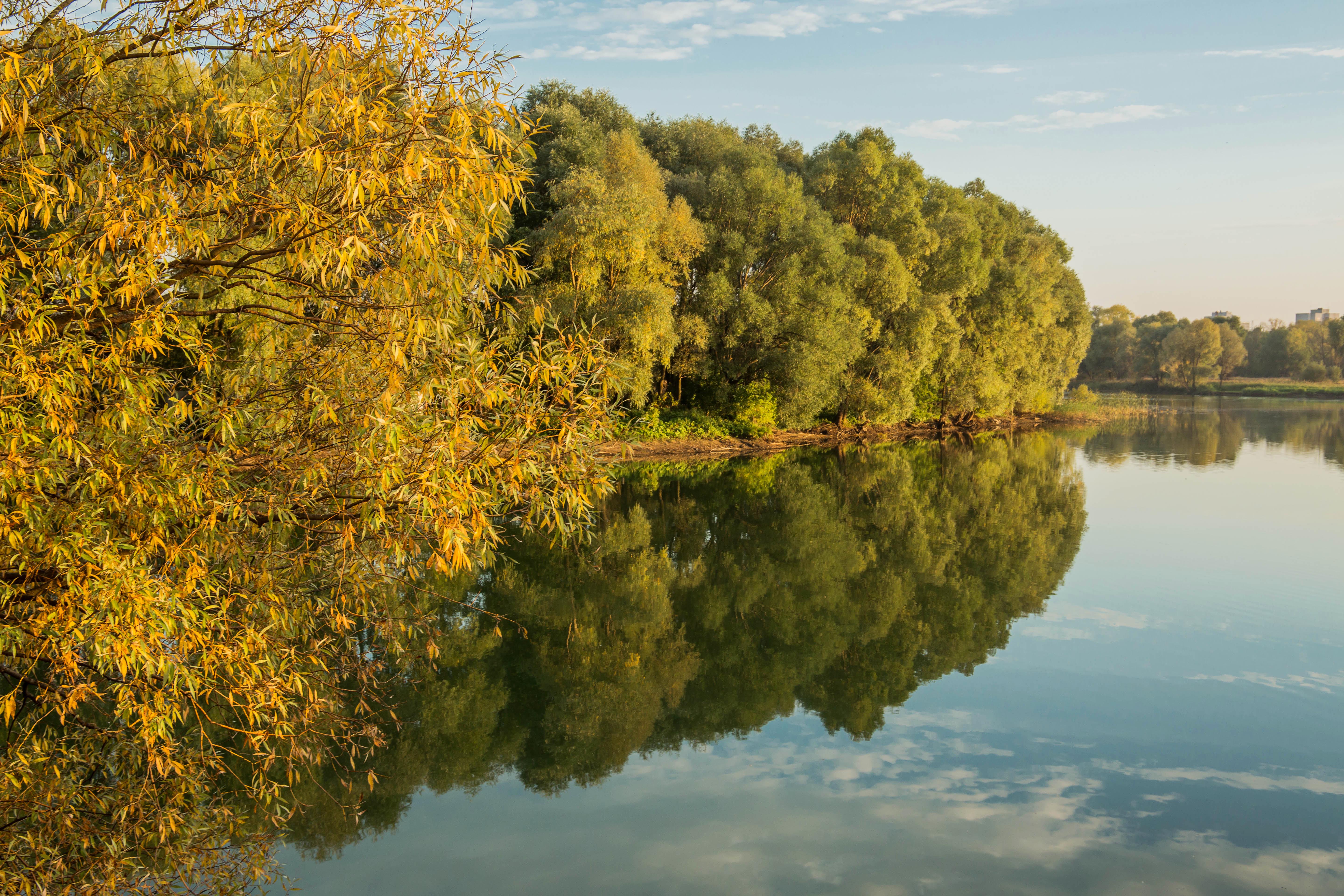 Реки татарстана. Татарстан Арск река. Татарстан река Казанка. Река Казанка Арск. Татарстан природа Казанка.