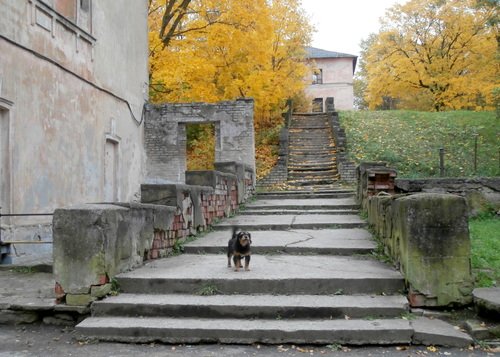 Старинная лестница в Парусинке