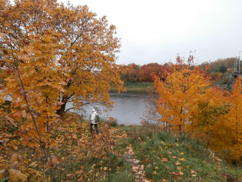 Осень на реке Луге
