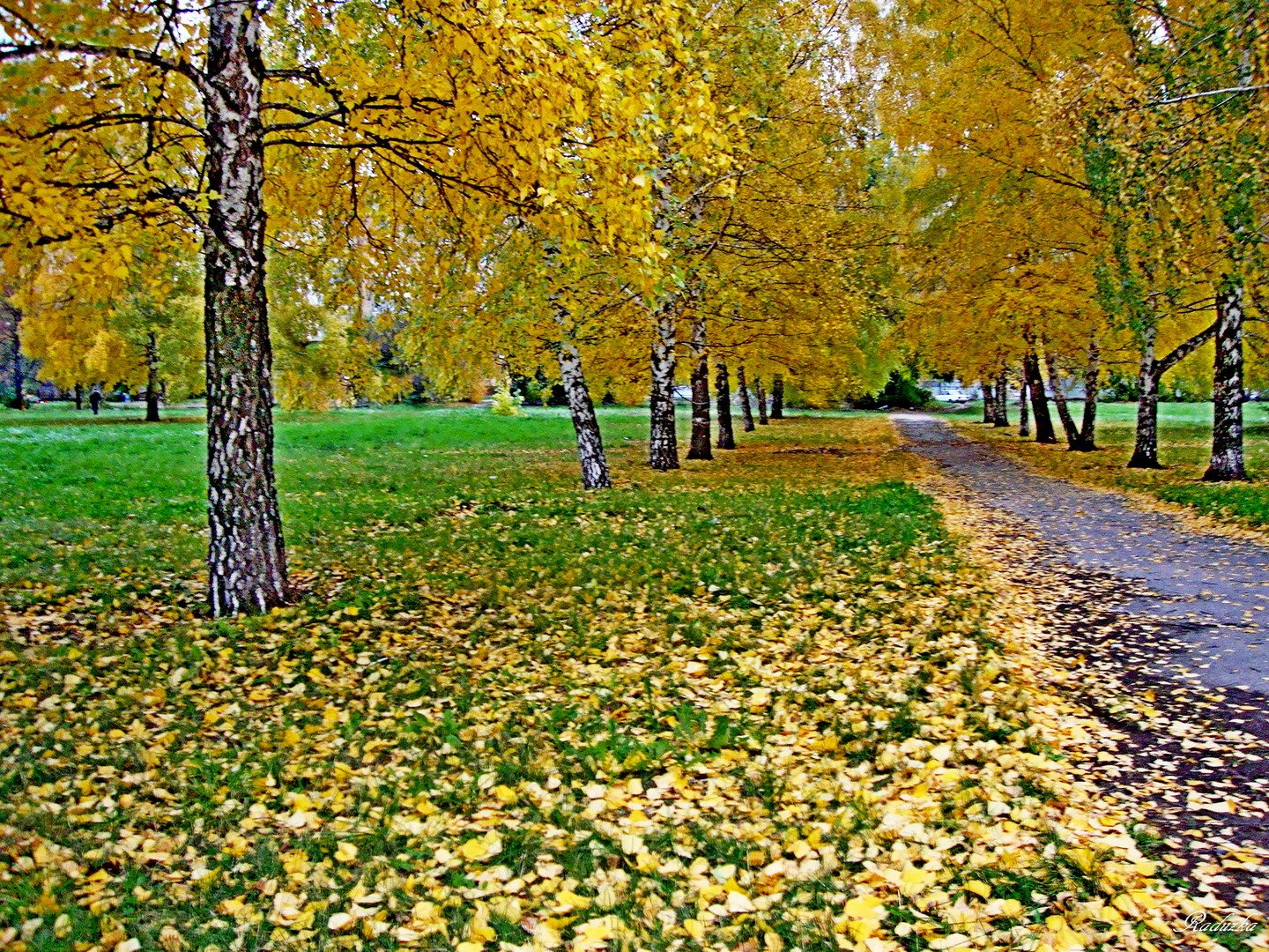 Гулял октябрь. Солнечный октябрь в парке. Аллейка. Осень в Кузнецке. Ночной Ливны осень.