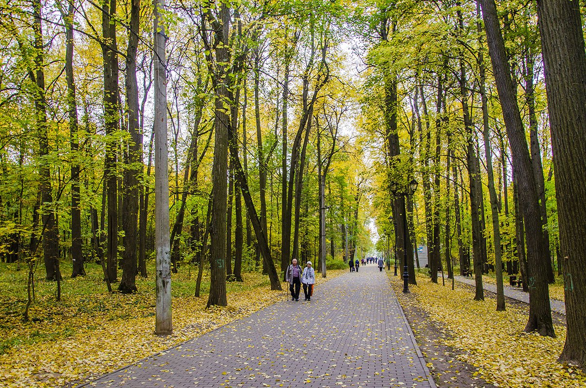 Филевский парк. Филевский парк Москва. Парк Фили. Филевский парк картинки.