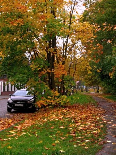 А на улице - Осень!.