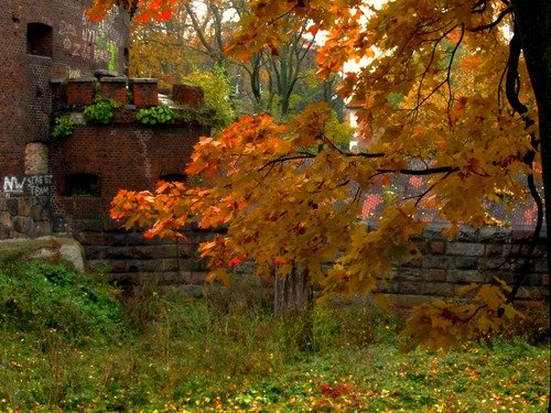 Осень у старой башни