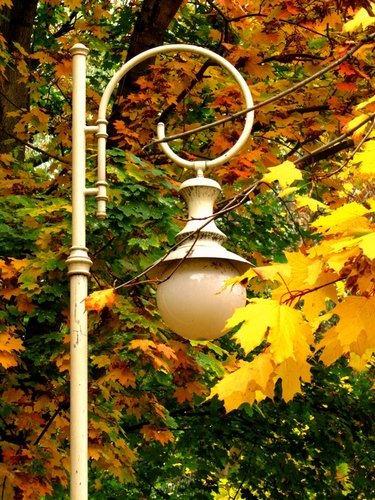 Осенний фонарь