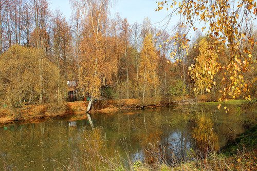 пруд, осень , село Мелихово