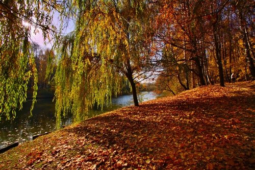 Осень в Царицыно