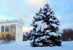 Снежная зима