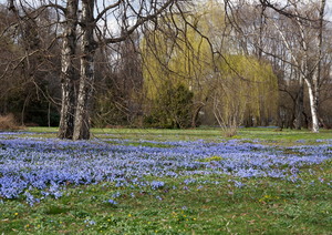 Весенний пейзаж
