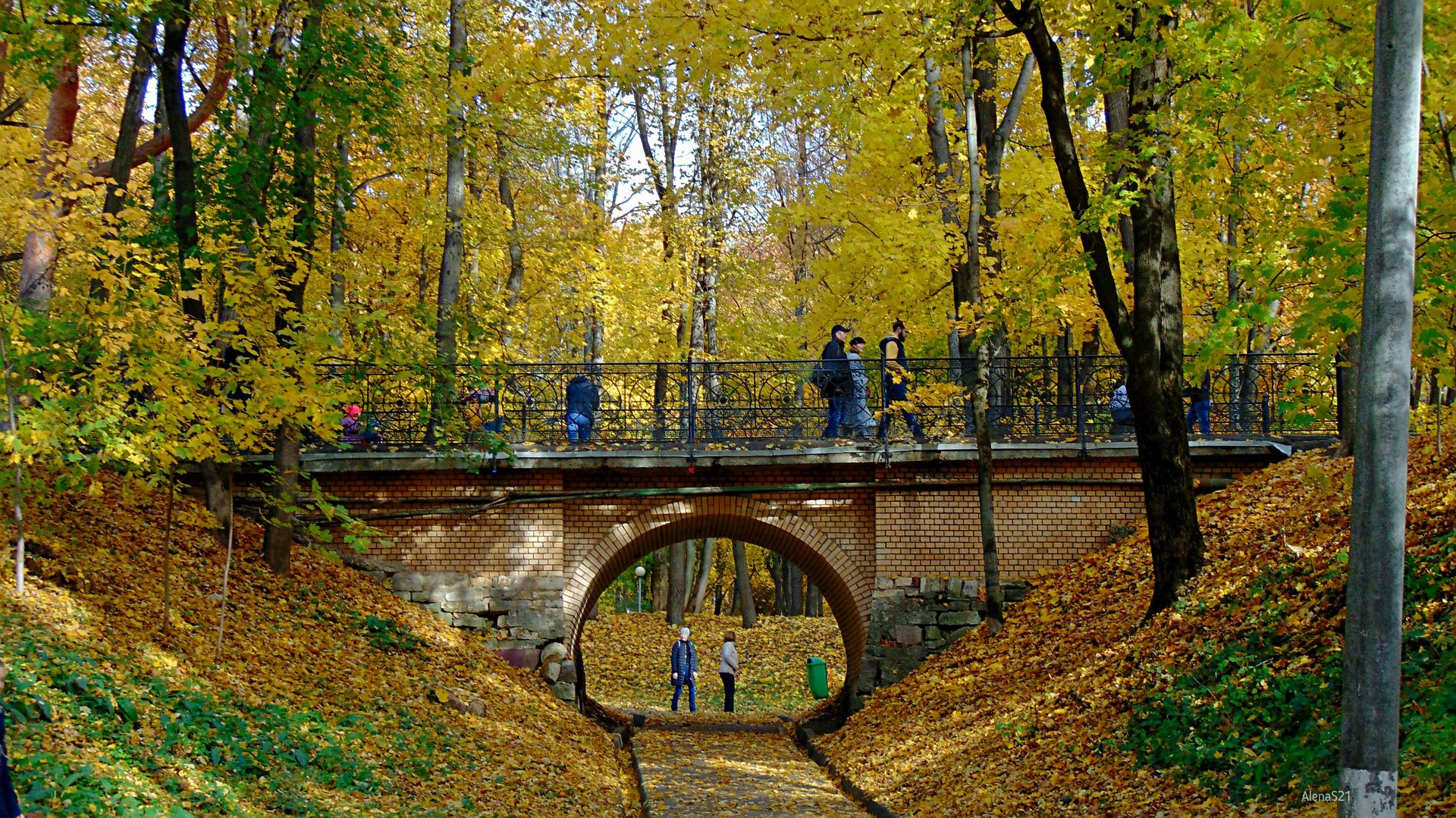 парк архангельское фото