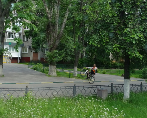 На горячем скакуне