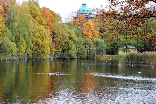 В осеннем парке