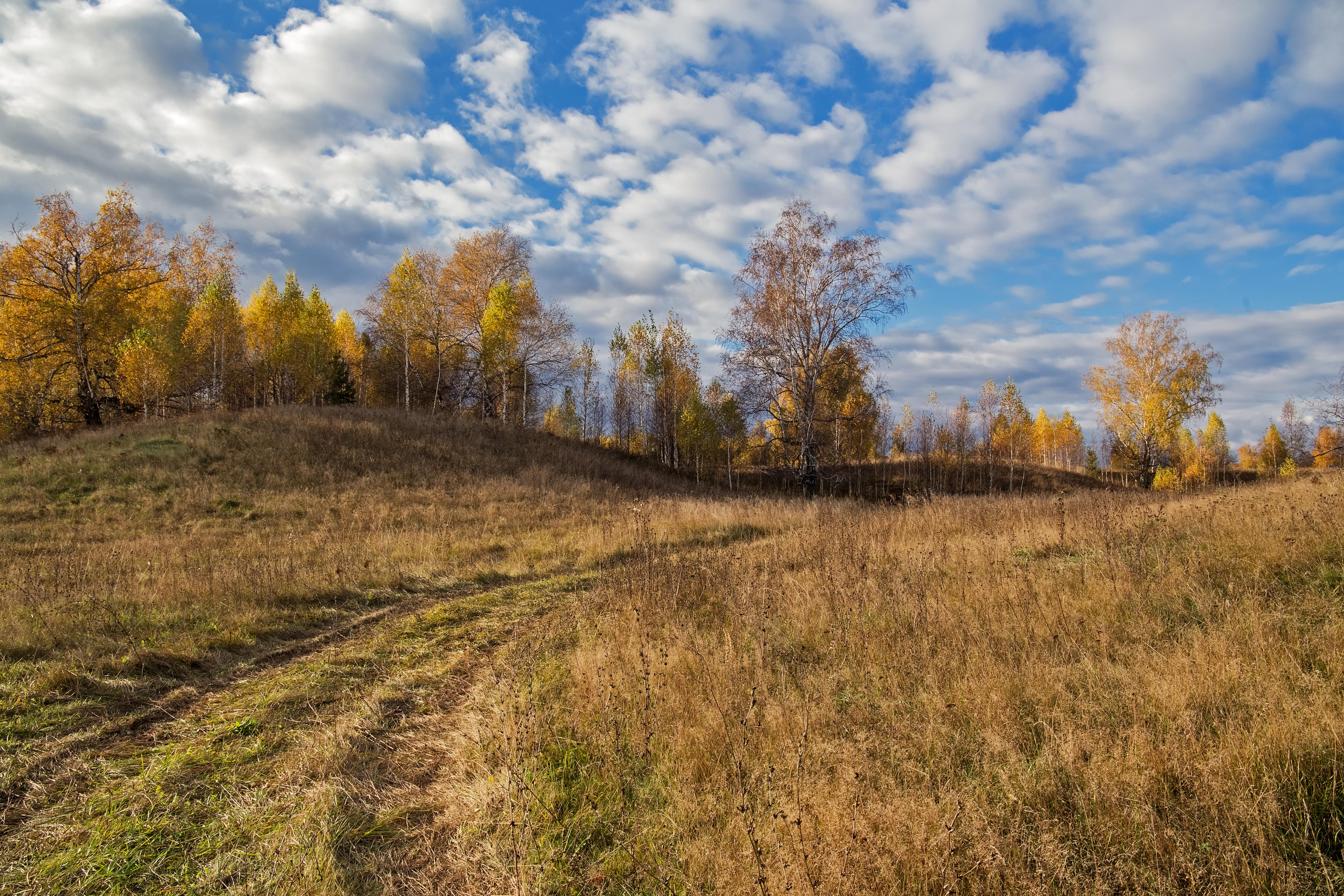 Осенний Луг Фото