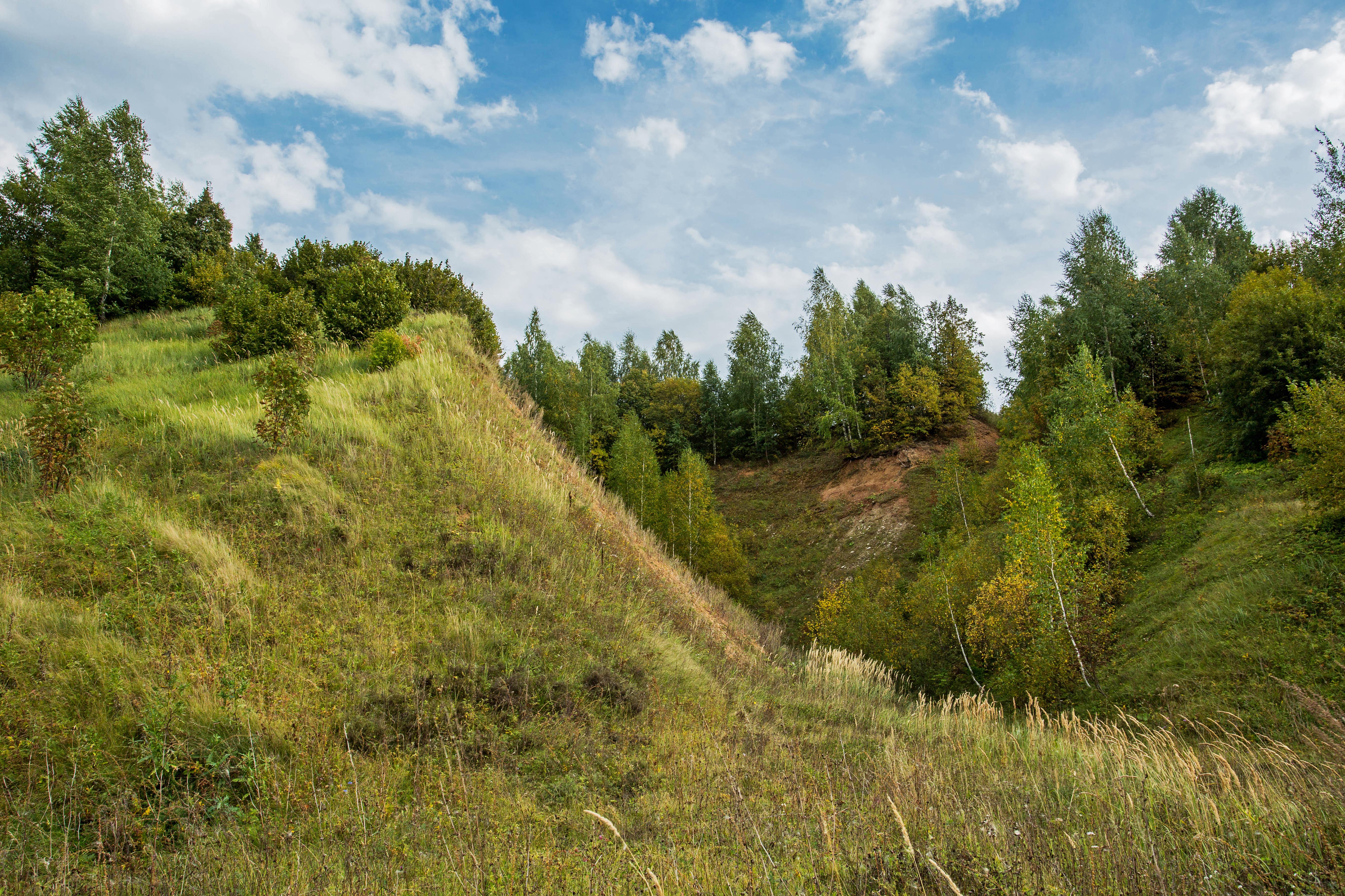 Косогор. Озеро каракуль Татарстан Высокогорский район. Лесной Косогор. Природа Высокогорского района. Свердловская область Косогор.