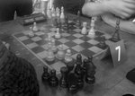 Смотреть все фото -  Шахматный турнир в станице Брюховецкой. 10-е октября 2022 года...   на ГУГЛ-ДИСКЕ