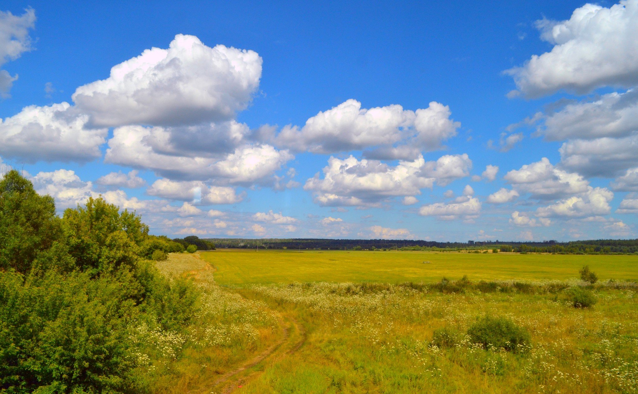 Лесостепь нижегородской области фото