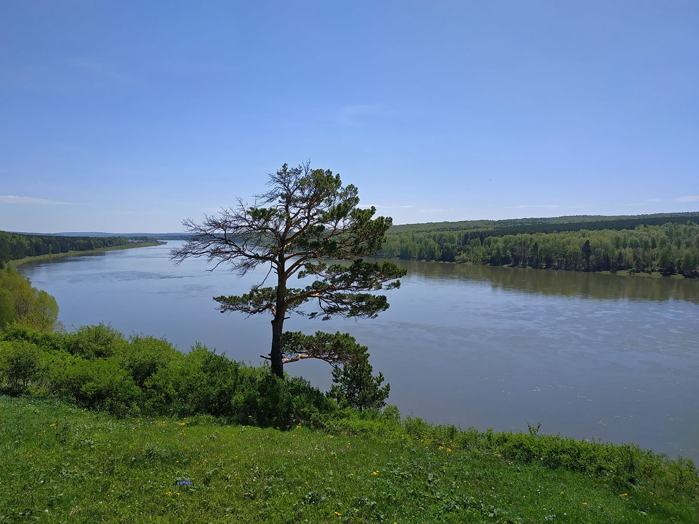 Она живет на берегу томи. Лысая гора кемерово. Озера кыштовского района новосибирской области. Берег реки томь. Берег томи фото.