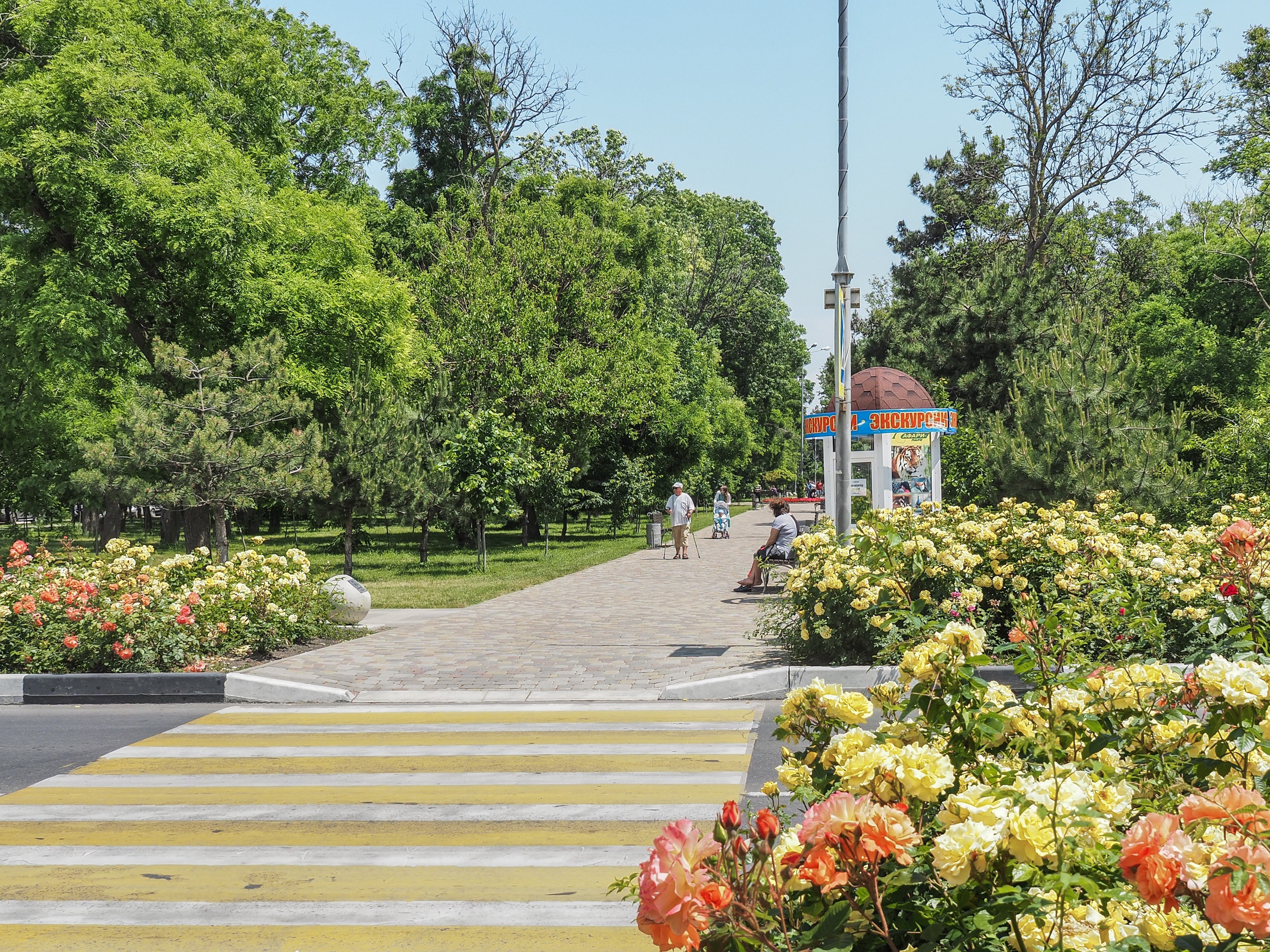 Улица Роз Фото