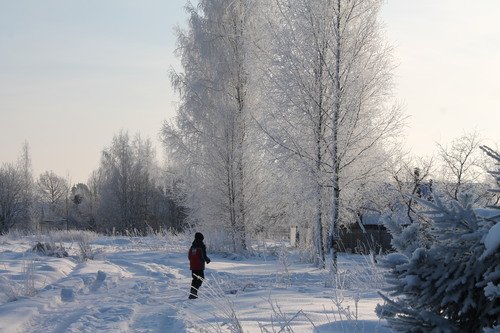 зимние прогулки
