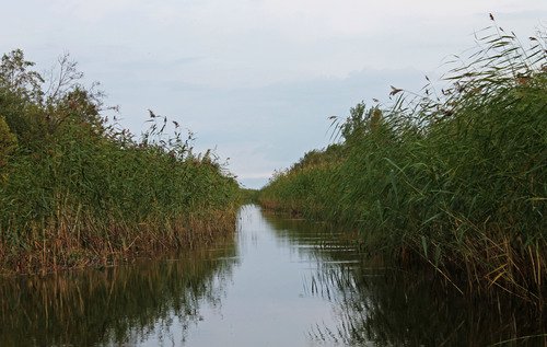 выход на большую воду в Ладогу