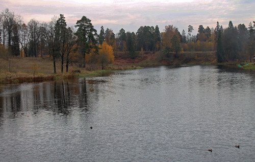 осень в Сиверской