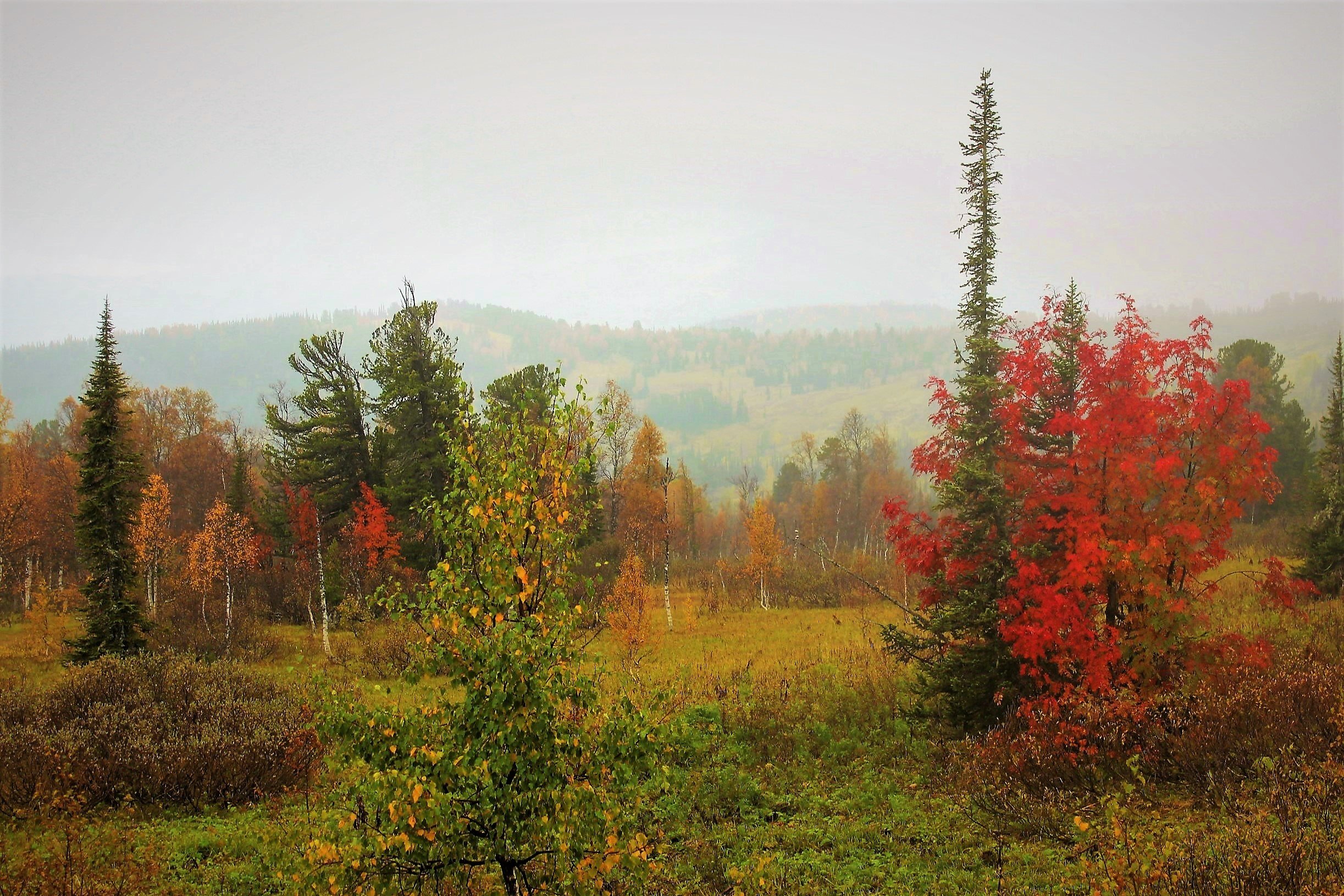 Осень Кузнецкий Алатау картинки фото