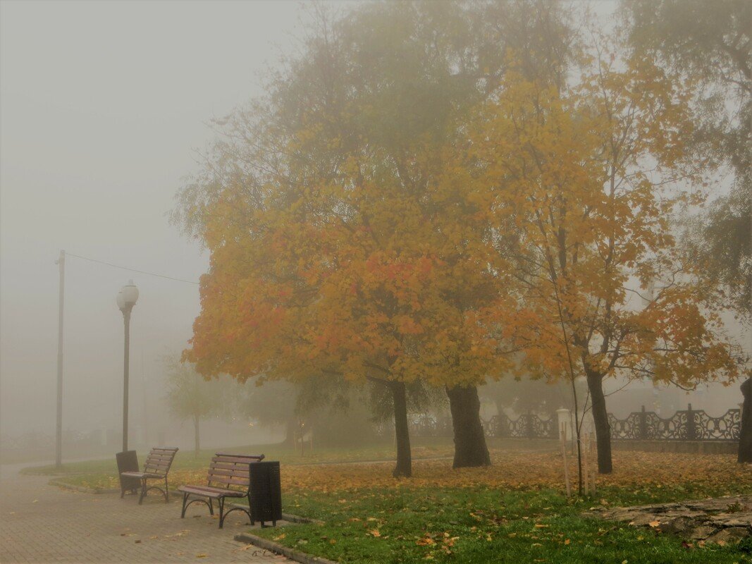 Осень туманное утро в городе
