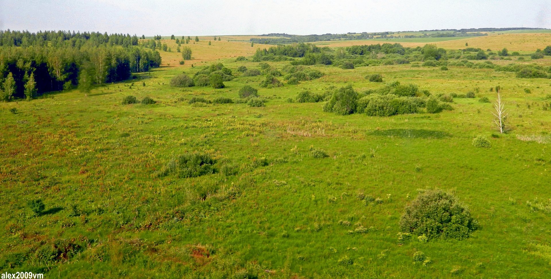 Лесостепь Московской области