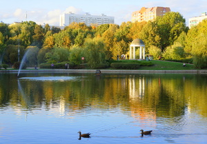 Осень в парке "Дубки"