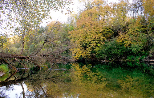 пейзаж с отражением,река Протва