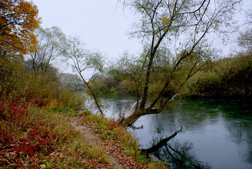 осенняя тропинка вдоль реки Протвы