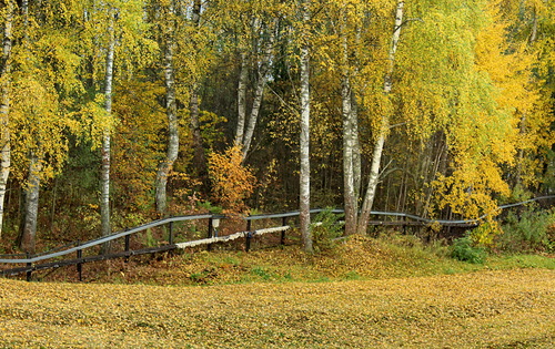 осенний пейзаж