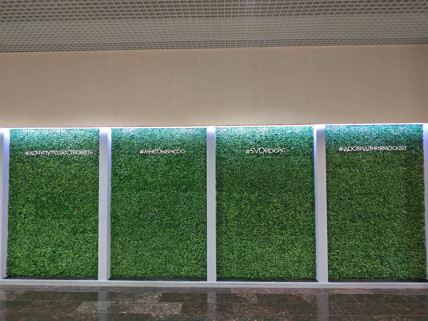 аэропорт симферополь зеленая стена