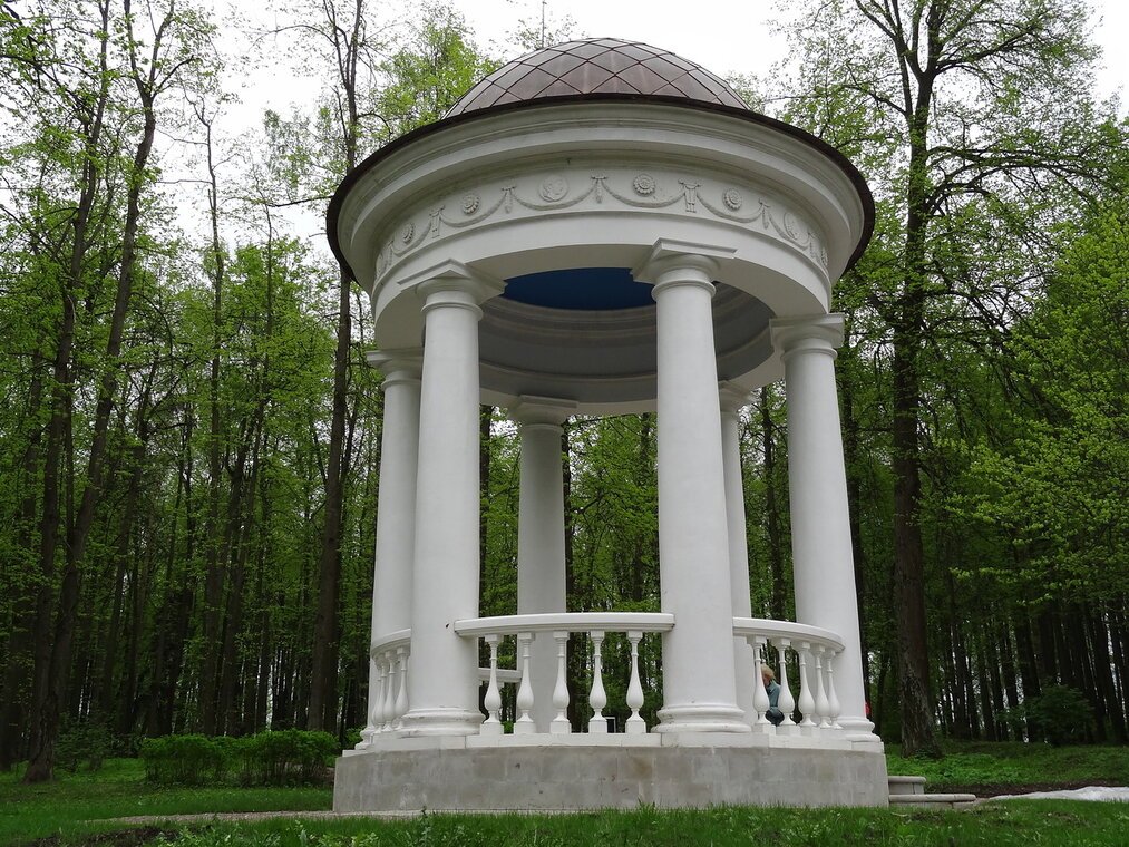 Лишай ротонда фото