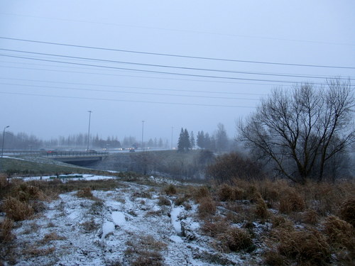 Петербургское шоссе