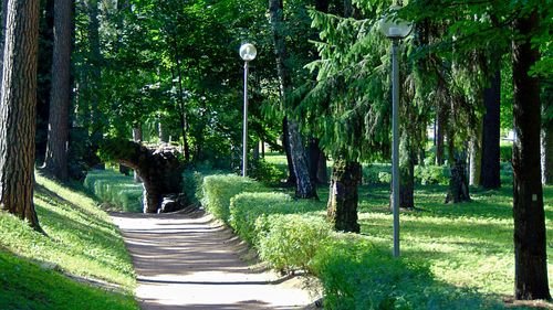 В парке усадьбы Архангельское
