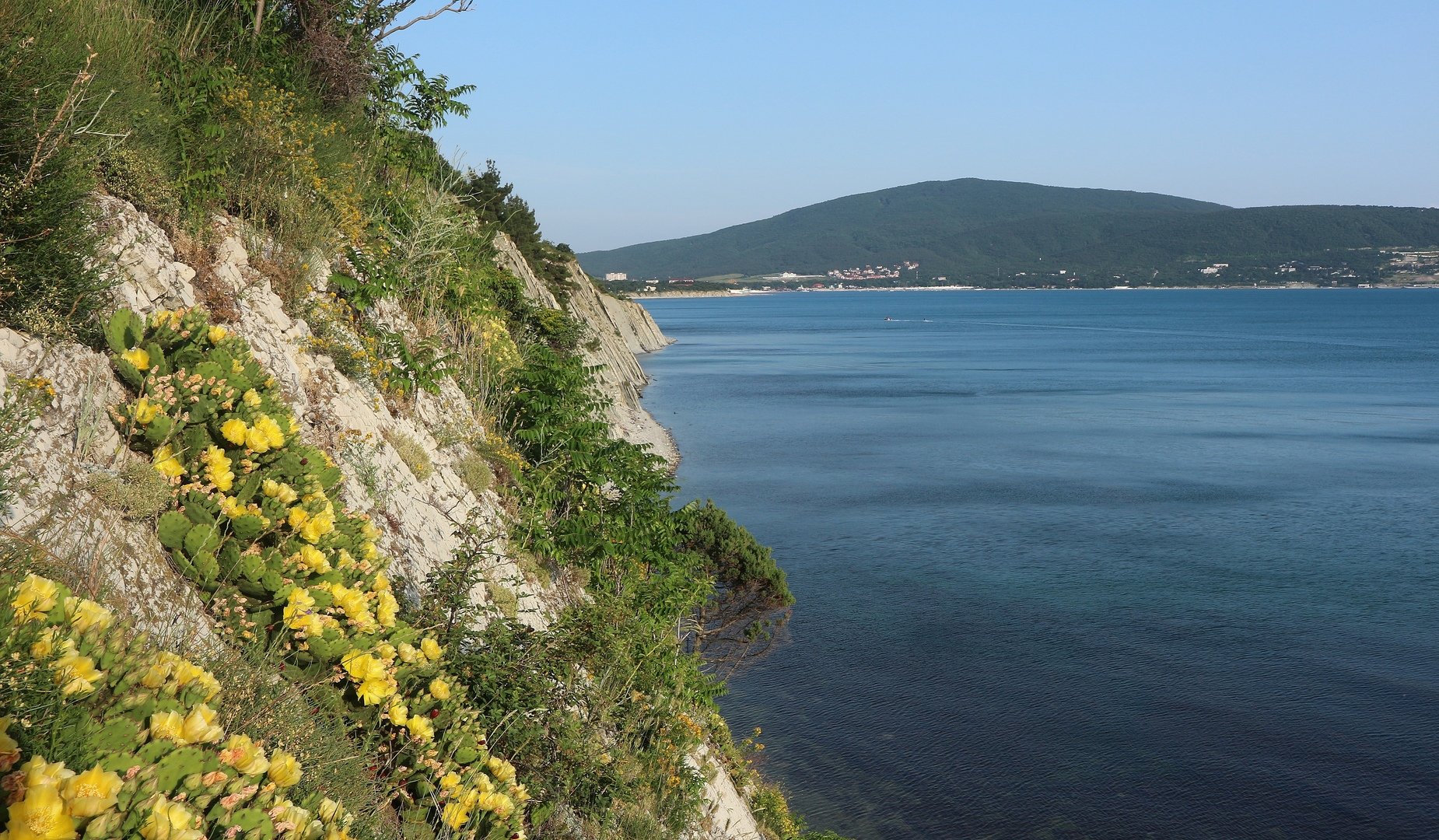 Черноморское побережье кавказа и южный берег крыма. Ландшафты Черноморского побережья. Черноморское побережье Кавказа осенью. Мыс Пенай. Дикие места.