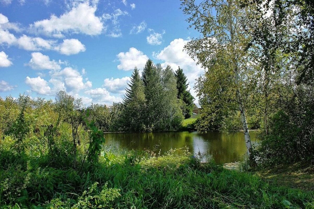 Фото природы новосибирской области