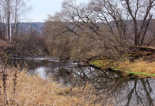 река Истра , ноябрь