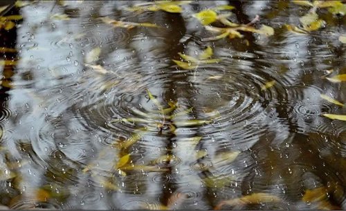 ИТОГИ КОНКУРСА "ВОДА-ВОДА"