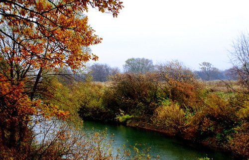 осень на реке Протве