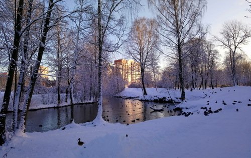 В ноябре зима обещала ...